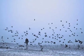 以重点关注首先分析是什么驱动着这些波动是......《零售供应链》摘录